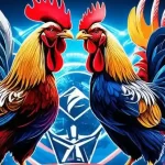 Fakta Unik Seputar Dunia Sabung Ayam Online di S128S
